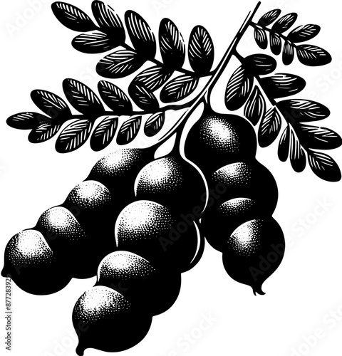 Black Velvet Tamarind Fruit icon 1 photo