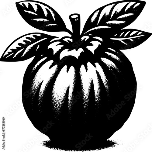 Black Sapote Fruit icon