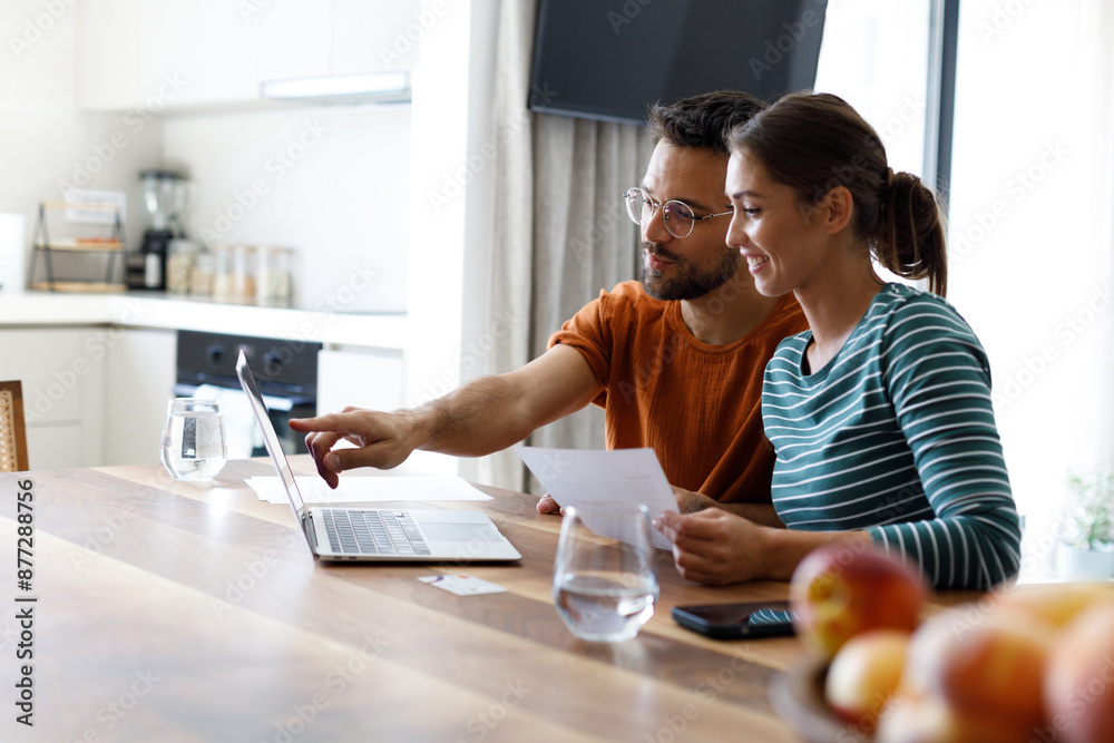 Adult couple using laptop computer at home.