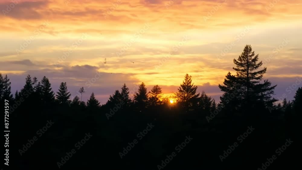 Serene sunset over forest silhouette Serene sunset over forest silhouette