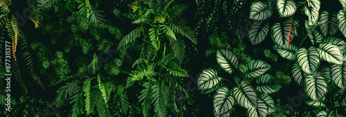 Bilde på lerret lush green plant with leaves and a stem