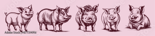 Set of pig vintage sketch illustrations, generative ai