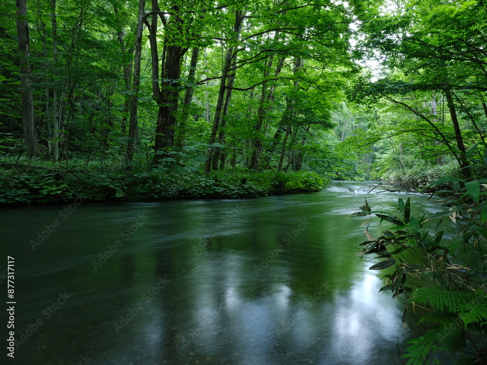 Obraz premium 奥入瀬渓流 青森県