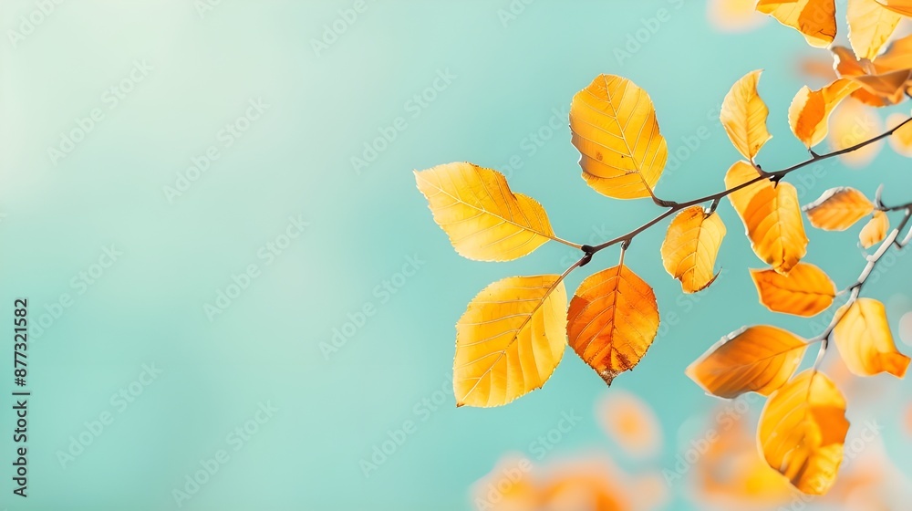 Golden Autumn Leaves on Blue Background. Golden Autumn Leaves on Blue Background.