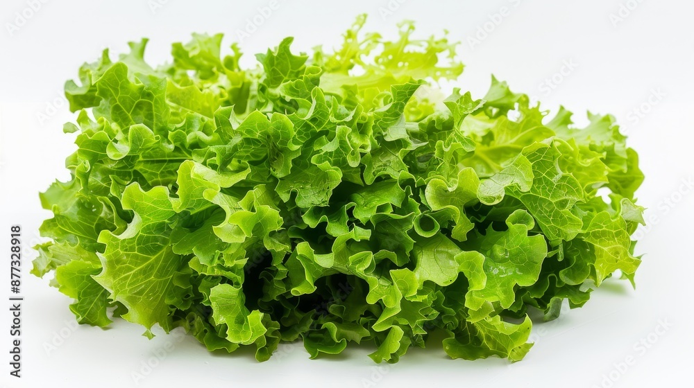 Fresh Green Lettuce Leaves Isolated on White Background Fresh Green Lettuce Leaves Isolated on White Background