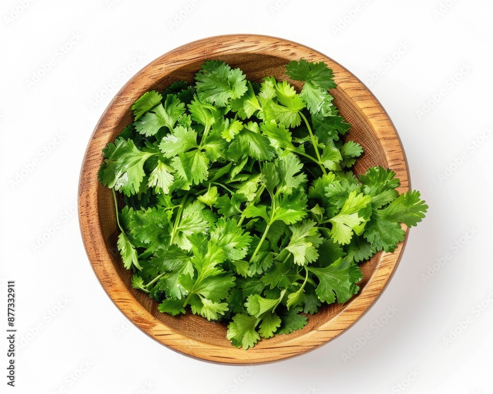 Bowl Of Cilantro. Top View of Fresh Coriander Leaves in Wooden Bowl on White Background Bowl Of Cilantro. Top View of Fresh Coriander Leaves in Wooden Bowl on White Background
