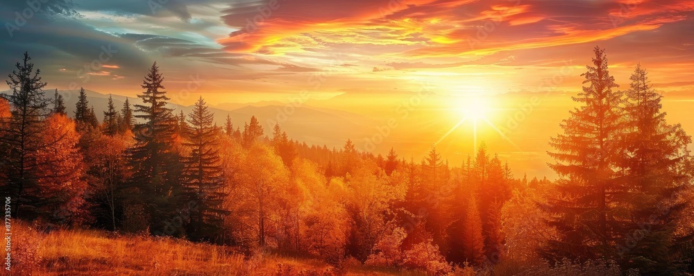 Stunning sunset over a forest landscape with vibrant colored sky and sun rays shining through the trees, creating a magical and serene atmosphere. Stunning sunset over a forest landscape with vibrant colored sky and sun rays shining through the trees, creating a magical and serene atmosphere.