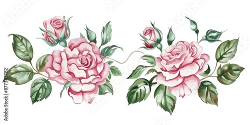 Watercolor clipart of rose bouquets with green leaves on a white background. Concept Botanical Illustrations, Watercolor Art, Floral Design, Rose Bouquets, Nature Clipart