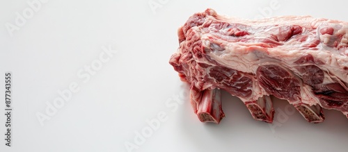 A large raw pork neck displayed on a white background shot in close up with space for text or graphics. Copy space image. Place for adding text and design photo