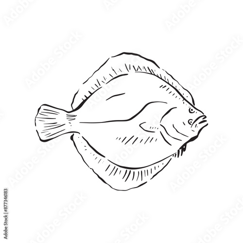 A sole fish illustration in a sketch style, black and white drawing. Drawn by hand.