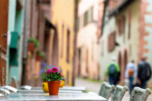Fototapeta Naklejka Na Ścianę i Meble -  Empty street country in Alsace,  France