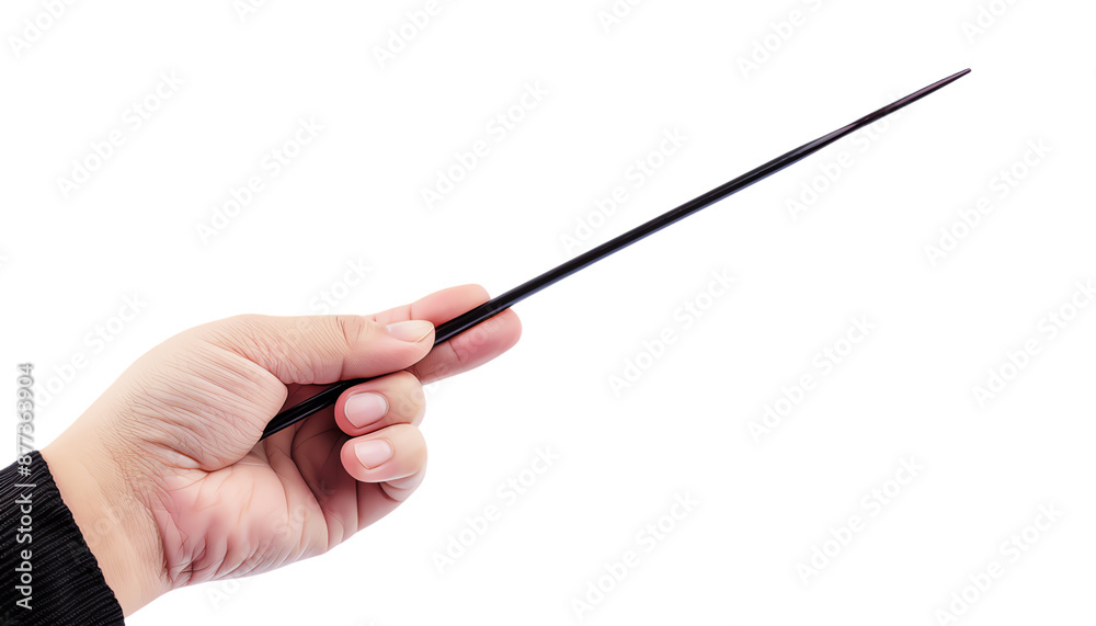 Hand Holding a Black Stick. Hand Holding a Black Stick.