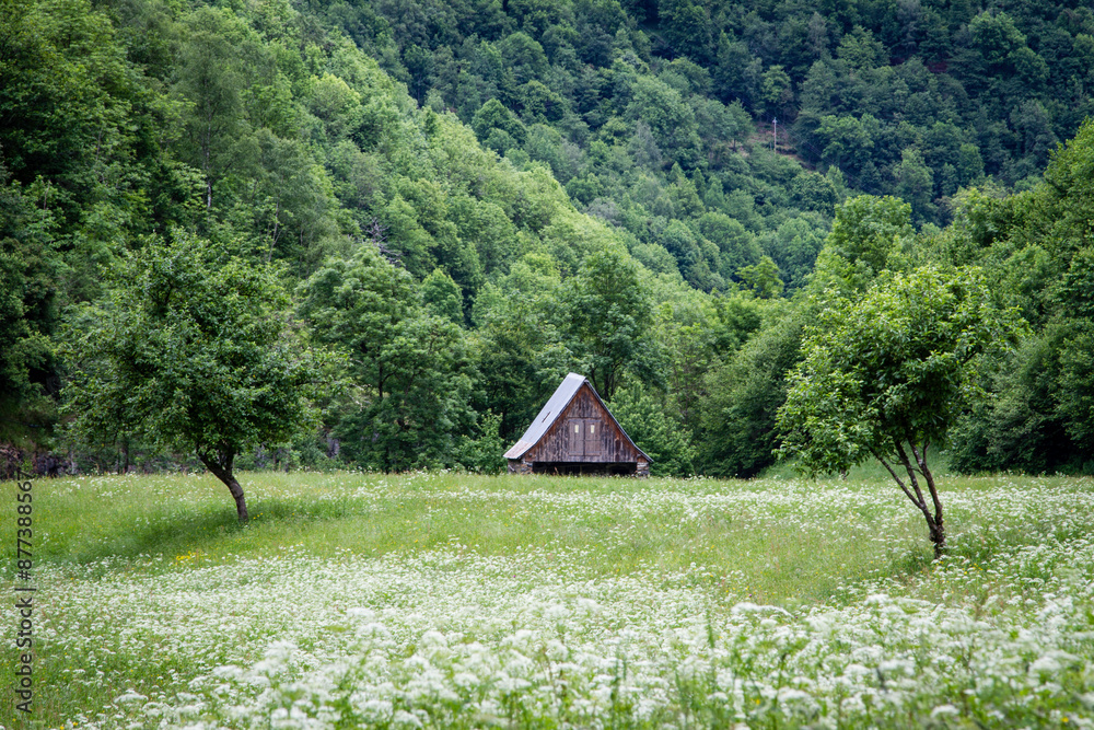 Grange au milieu d'une prairie fleurie dans le Couserans en Ariège Grange au milieu d'une prairie fleurie dans le Couserans en Ariège