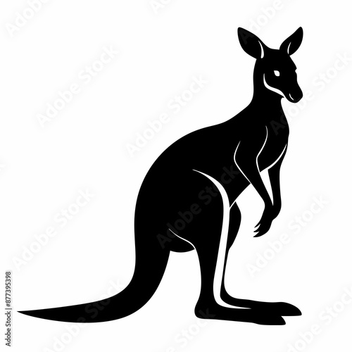 kangaroo with baby © Kanay
