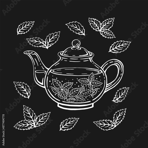 Teapot, mint leaves, tea. Hand drawn vector illustration in outline style.