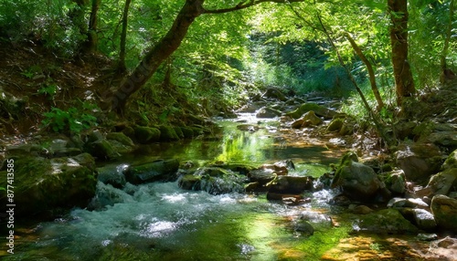 美しい森の風景