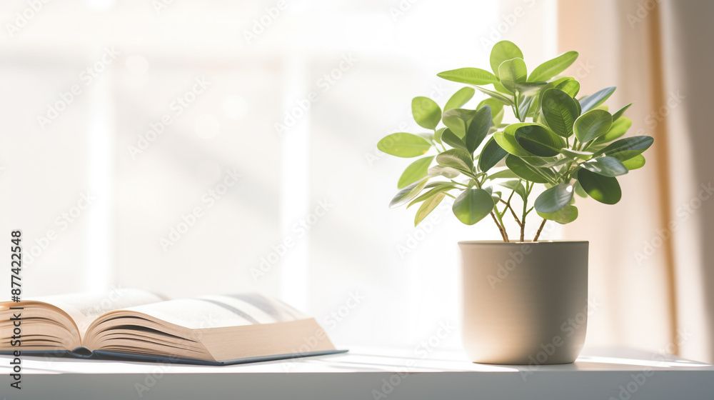Potted plant and book on white table against blurred window with sun rays Potted plant and book on white table against blurred window with sun rays