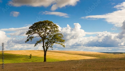 countryside landscape, tree standing in the field