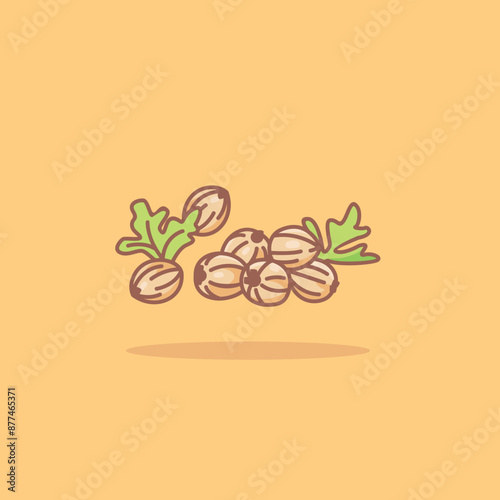 illustration of the coriander spice logo icon, coriander kitchen spice for the cooking industry	
