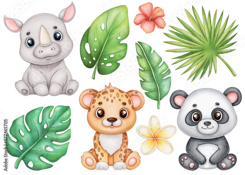 Photography Cute baby animals safari clipart