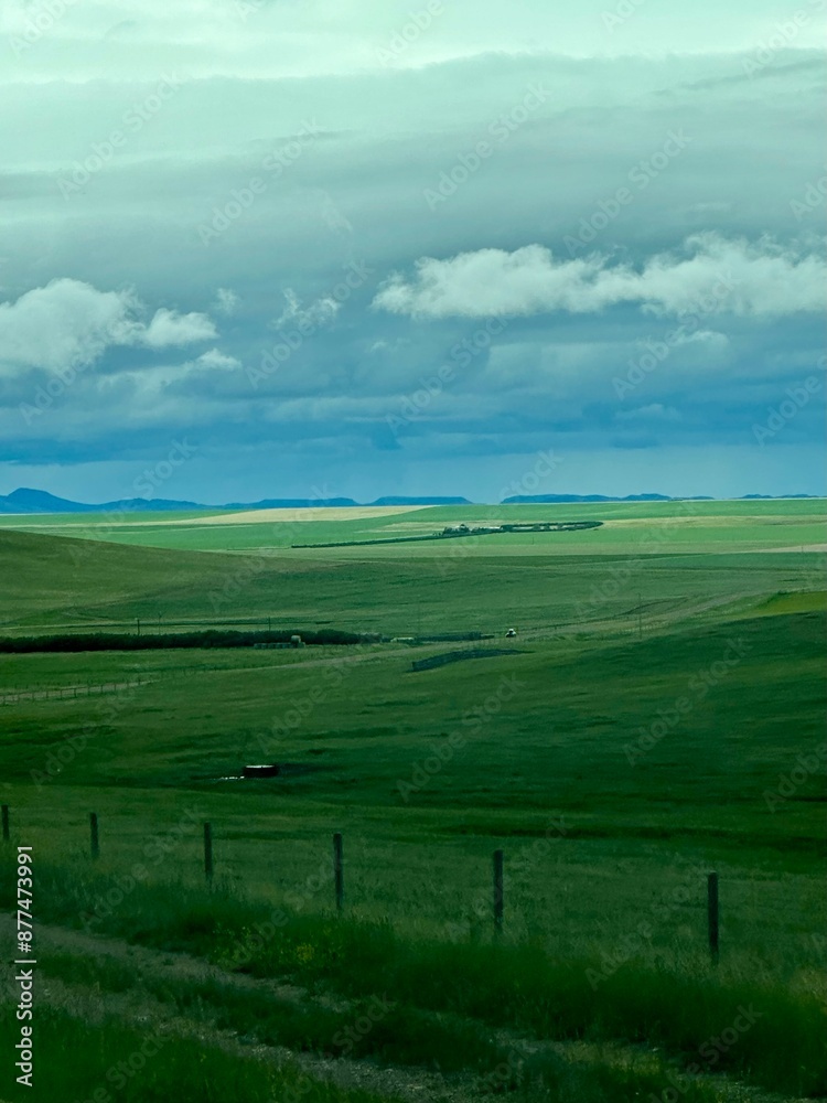 Naklejka premium Field 