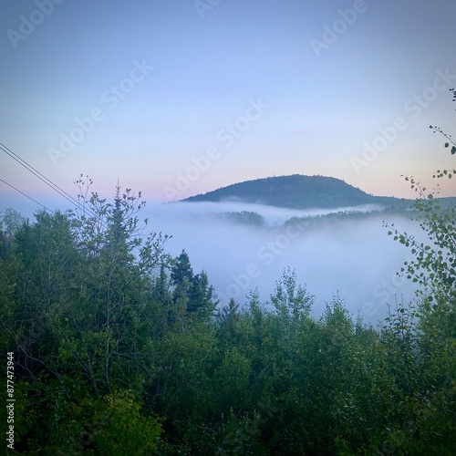 fog on the lake