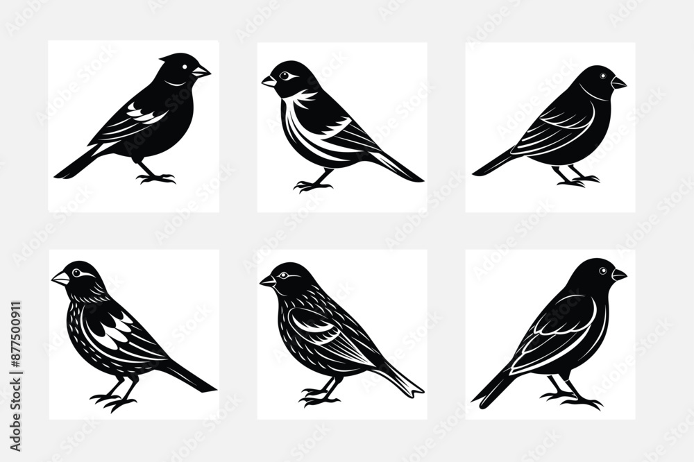Fototapeta premium set of silhouettes of birds