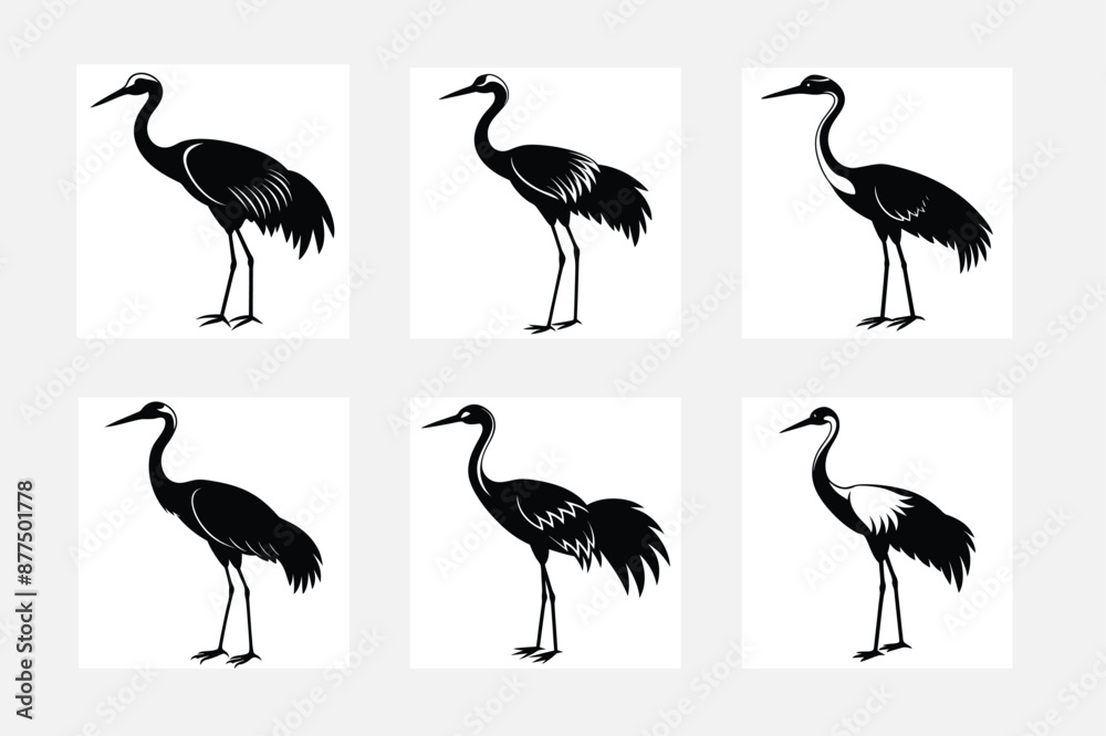 Fototapeta premium set of birds
