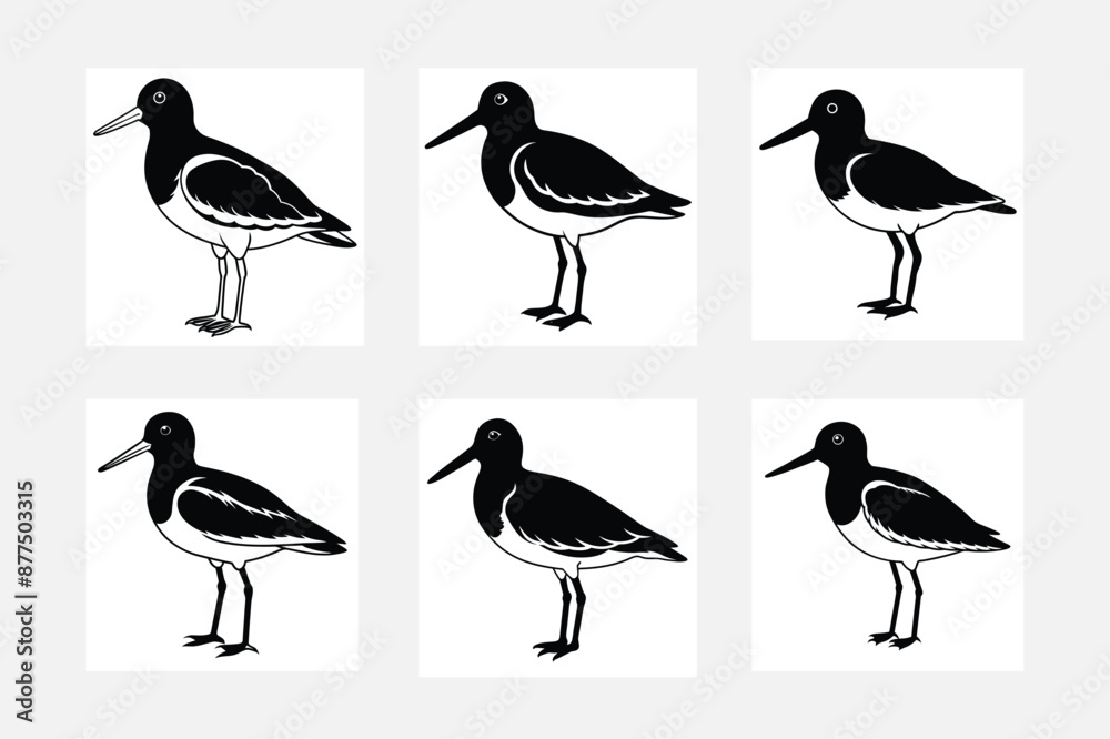 Obraz premium set of birds silhouettes