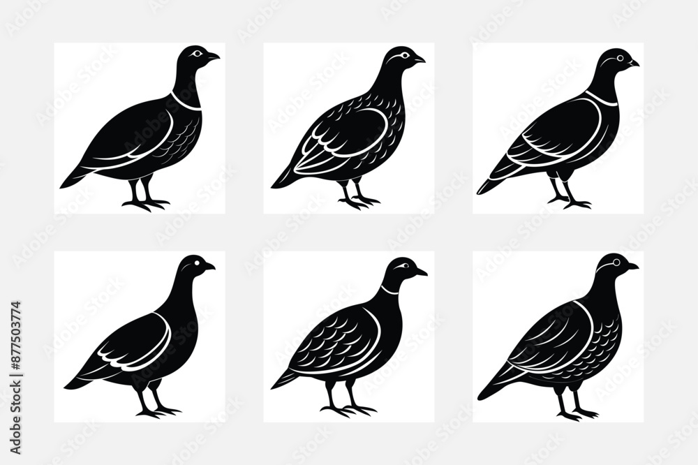 set of birds silhouettes set of birds silhouettes