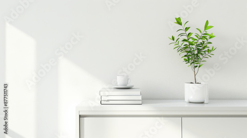 A minimalist white cabinet adorned with a potted plant and neatly stacked books, bathed in natural sunlight, creating a serene, modern ambiance.