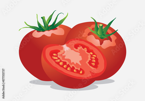 Fresh sliced ​​tomato vector illustration