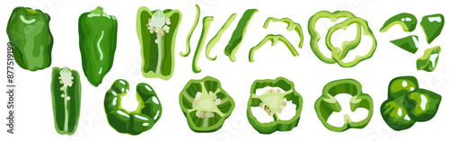 Set of green bell peppers, sweet peppers, Japanese bell pepper, paprika,  pīman, piment, poivron, pimient, capsicum, hand drawn vector illustration isolated