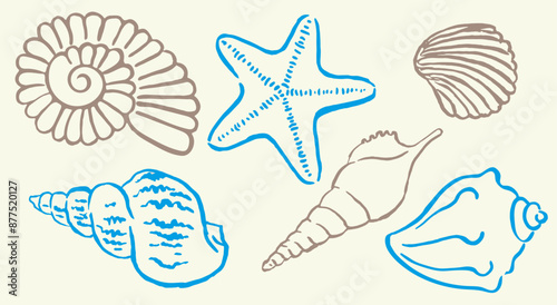 Shells , colorful seashells , shellfish, conch , mollusks , starfish , marine illustration, vector illustration , decorations, ocean , scallops, doodle