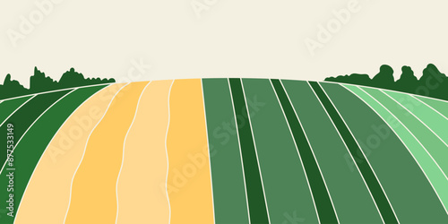Abstract agriculture field or farm card banner. Vineyard valley pattern, countryside landscape, eco horizontal panorama template. Green nature organic background
