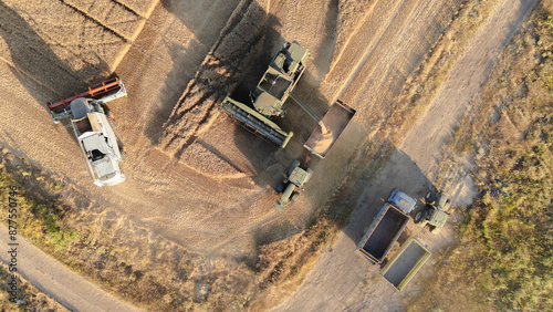 aerial top down view combine harvester unloads its hopper into a tractor trailer. Harvesting wheat from the fields