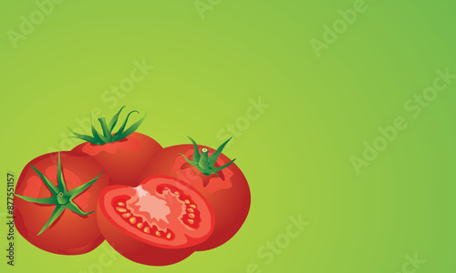 fresh tomatoes vector on green background