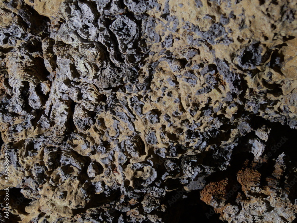 Natural Cave Near the Lake of the Ozarks in MO