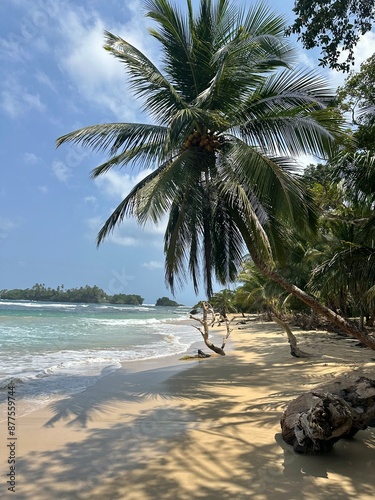 Bocas del Toro  photo