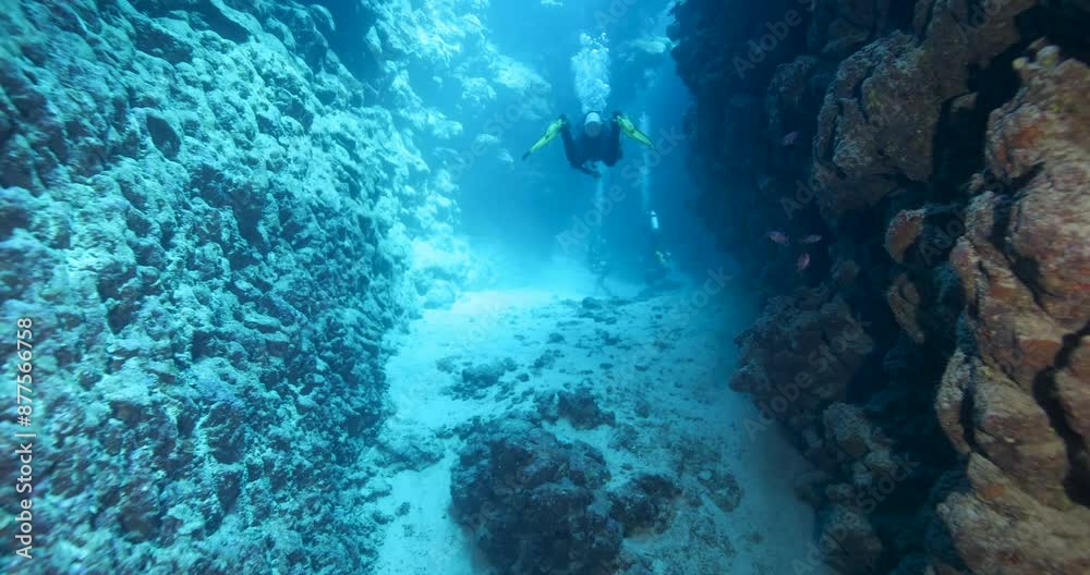 Group of divers swimming in an underwater cave canyon. Diving instructor and group students in underwater exploration. The instructor teaches the students. Scuba diving training and education. Group of divers swimming in an underwater cave canyon. Diving instructor and group students in underwater exploration. The instructor teaches the students. Scuba diving training and education.