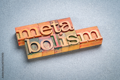 metabolism - word in letterpress wood type, medicine, physiology and health concept