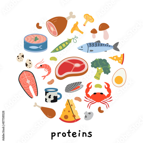 Protein sources product infographic. Healthly food set with meat, seafood, vegetables and dairy products. Modern vector illustration isolated on white background, hand drawn, flat design