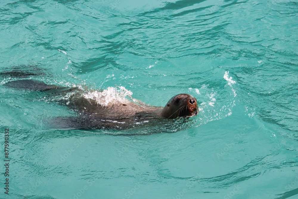 Obraz premium Yakutat Bay, Alaska