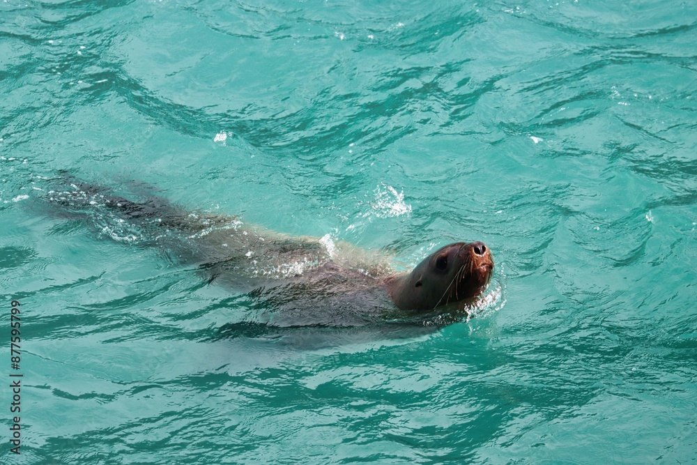 Fototapeta premium Yakutat Bay, Alaska