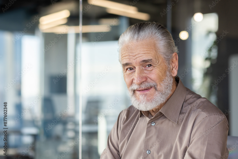 Portrait of a senior businessman with a friendly and confident expression, sitting in a modern office environment. The man has grey hair and a beard, wearing a brown shirt. Portrait of a senior businessman with a friendly and confident expression, sitting in a modern office environment. The man has grey hair and a beard, wearing a brown shirt.