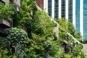Building facade with green plants growth on the wall. Vertical garden in Kuala Lumpur city, Malaysia. Eco friendly urban environment. Sustainable modern and ecological architecture
