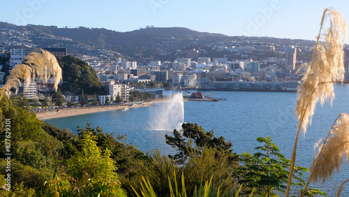 Scenic aerial view of Oriental Bay in Wellington with beach, water fountain, harbour and cityscape in New Zealand Aotearoa