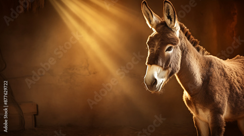 A brown donkey in a golden light,  evoking a sense of peace and tranquility, perfect for a Christmas or winter holiday design. 