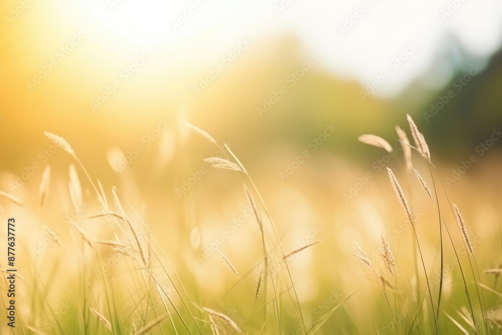 Summer background: a vibrant and inviting banner with copy space, capturing the essence of the sunny season with bright colors and cheerful imagery Summer background: a vibrant and inviting banner with copy space, capturing the essence of the sunny season with bright colors and cheerful imagery