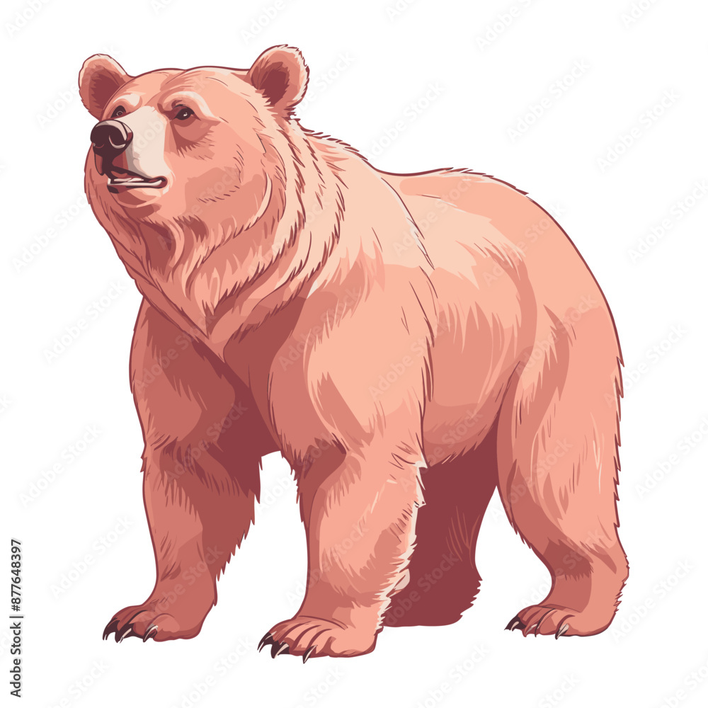 Hand Drawn Grizzly Bear Illustration Hand Drawn Grizzly Bear Illustration